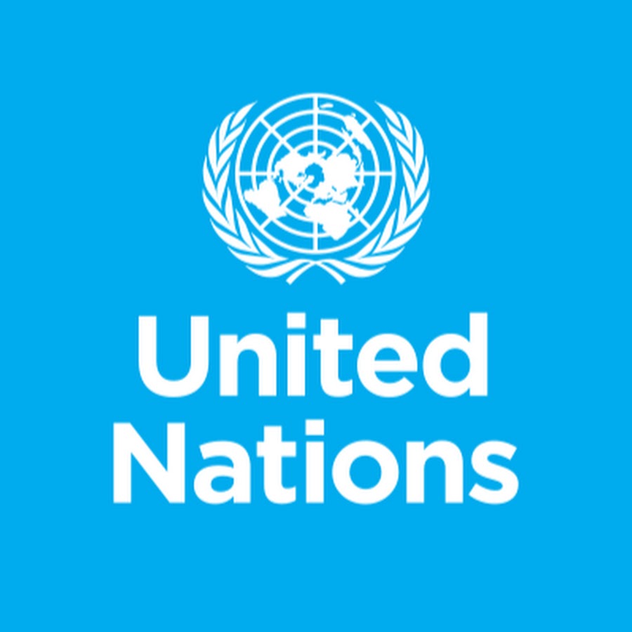 Инкорвуз включён в состав Российского общественного комитета по празднованию 75-летия Организации Объединенных Наций